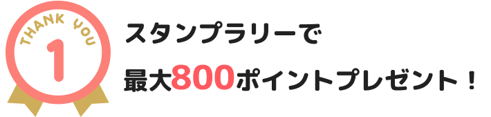 X^v[ōő800|Cgv[g