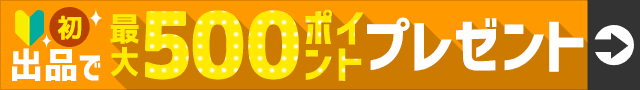 oiōő500|Cgv[g